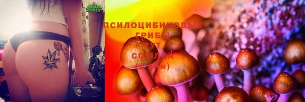 a pvp Белокуриха