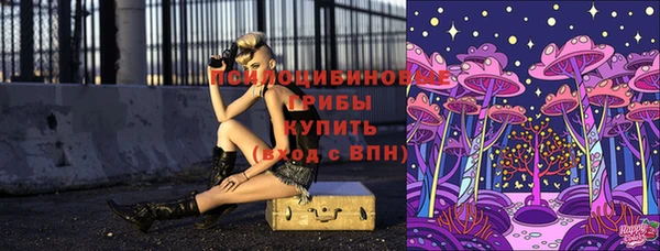 Альфа ПВП Беломорск