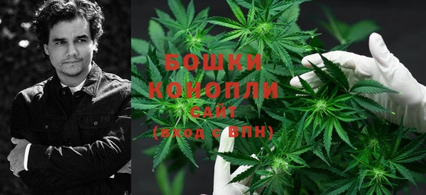a pvp Белокуриха