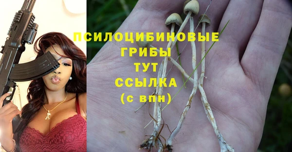 Альфа ПВП Беломорск