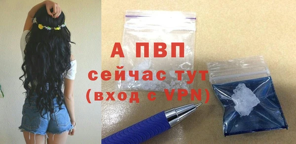 a pvp Белокуриха