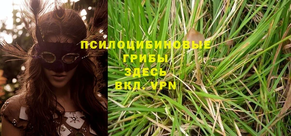 a pvp Белокуриха