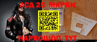 меф Кингисепп