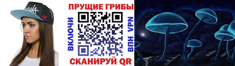 продажа наркотиков  Острогожск  Псилоцибиновые грибы Psilocybine cubensis 