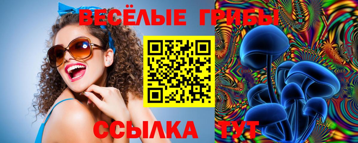 Галлюциногенные грибы Psilocybine cubensis Острогожск